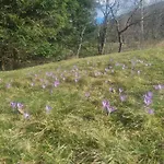 Horská chata Na Zagroniu *