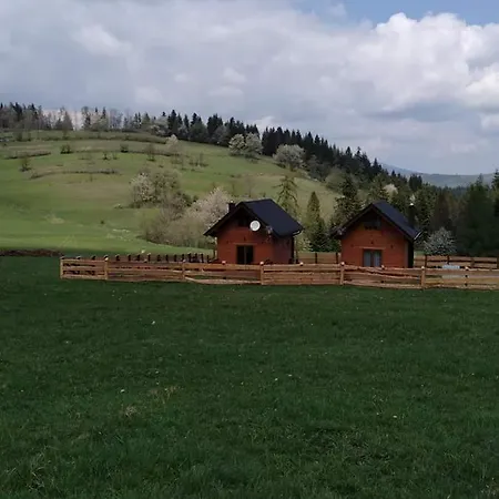 Alpesi faház Na Zagroniu Koninki