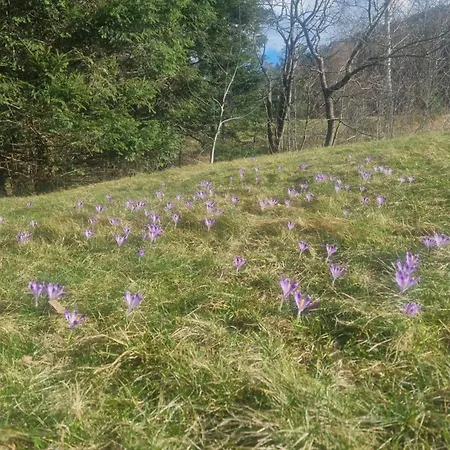 Dağ evi Na Zagroniu *