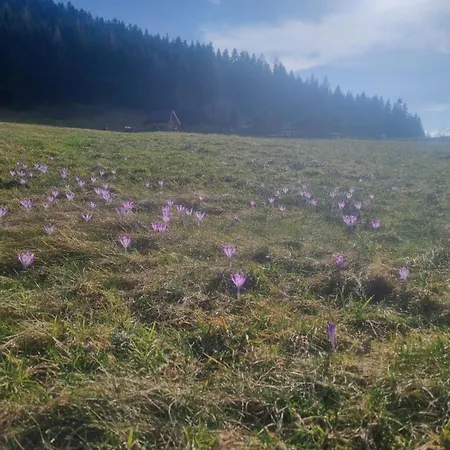 Na Zagroniu Horská chata *