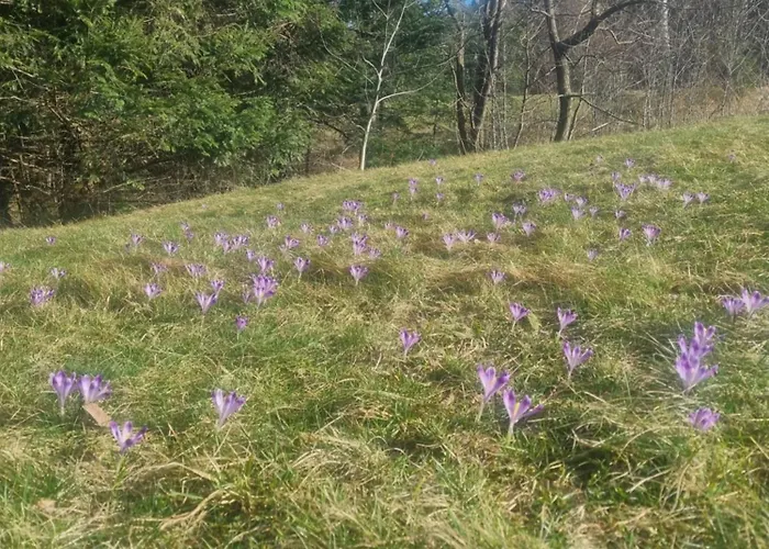 Σαλέ Na Zagroniu *